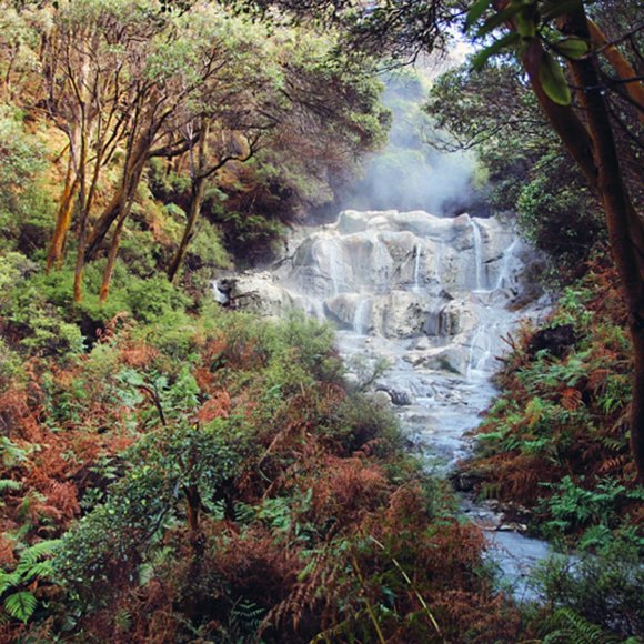 Meet your Posher, Kara - Picture 15 of 16